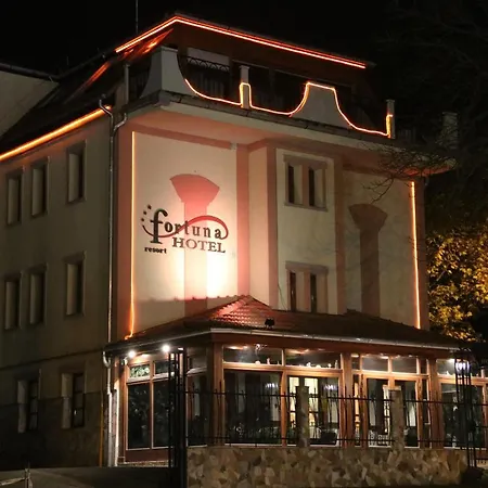 酒店 弗杜那酒店 3*