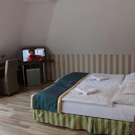 호텔 Fortuna 미슈콜츠